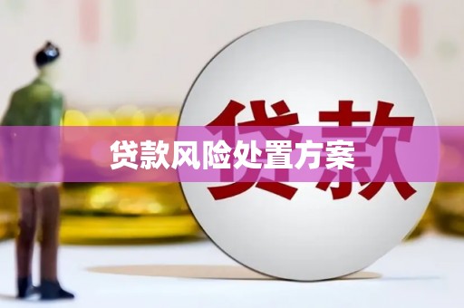 金城贷款风险处置方案