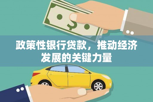 金城政策性银行贷款，推动经济发展的关键力量