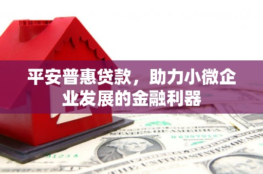 金城平安普惠贷款，助力小微企业发展的金融利器