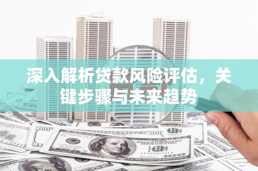 金城深入解析贷款风险评估，关键步骤与未来趋势