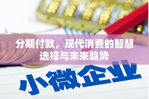 金城分期付款，现代消费的智慧选择与未来趋势