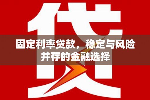 金城固定利率贷款，稳定与风险并存的金融选择
