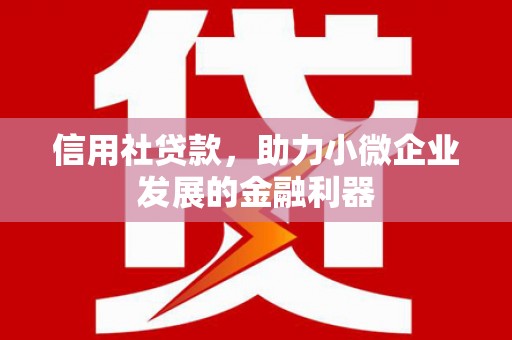 金城信用社贷款，助力小微企业发展的金融利器
