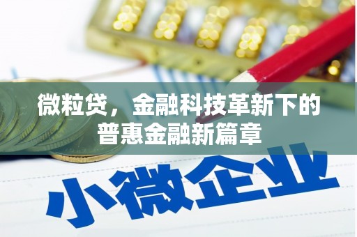 金城微粒贷，金融科技革新下的普惠金融新篇章