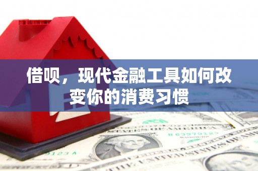金城借呗，现代金融工具如何改变你的消费习惯