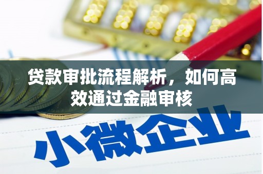 金城贷款审批流程解析，如何高效通过金融审核