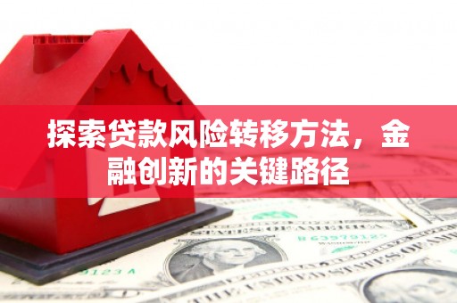 金城探索贷款风险转移方法，金融创新的关键路径