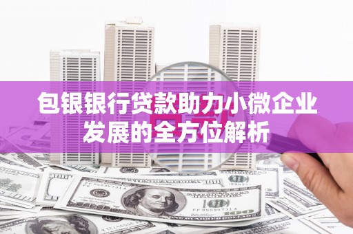 金城包银银行贷款助力小微企业发展的全方位解析