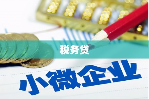 金城税务贷