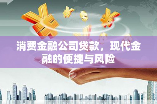 金城消费金融公司贷款，现代金融的便捷与风险