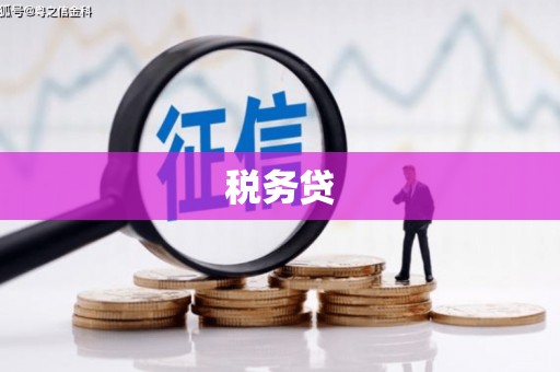 金城税务贷