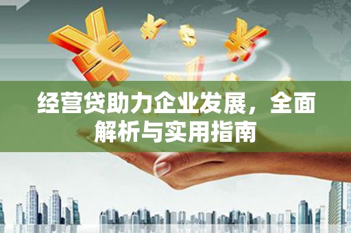 金城经营贷助力企业发展，全面解析与实用指南