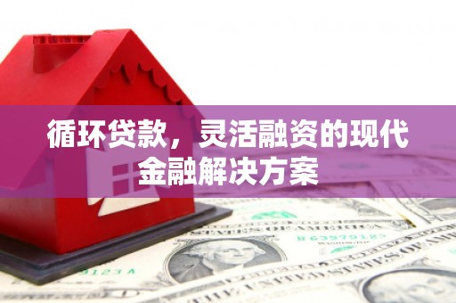 金城循环贷款，灵活融资的现代金融解决方案