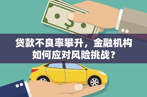 金城贷款不良率攀升，金融机构如何应对风险挑战？