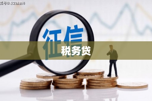 金城税务贷