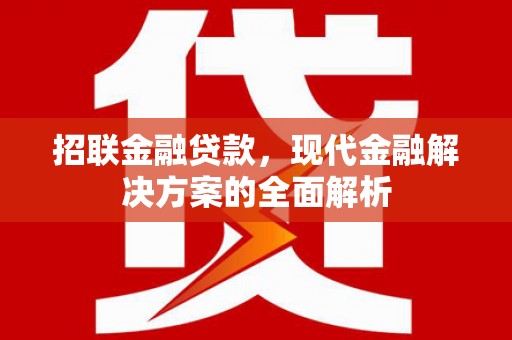 金城招联金融贷款，现代金融解决方案的全面解析