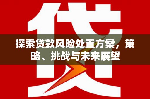 金城探索贷款风险处置方案，策略、挑战与未来展望