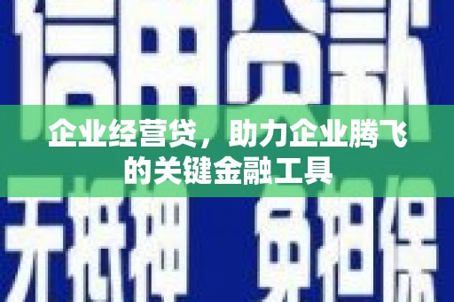 金城企业经营贷，助力企业腾飞的关键金融工具
