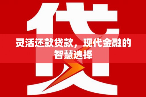 金城灵活还款贷款，现代金融的智慧选择