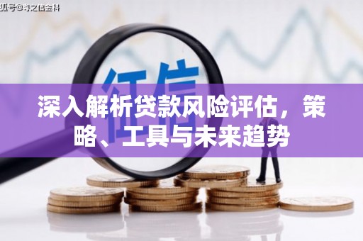 金城深入解析贷款风险评估，策略、工具与未来趋势