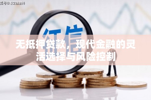 金城无抵押贷款，现代金融的灵活选择与风险控制