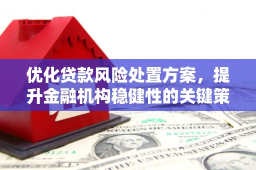 金城优化贷款风险处置方案，提升金融机构稳健性的关键策略