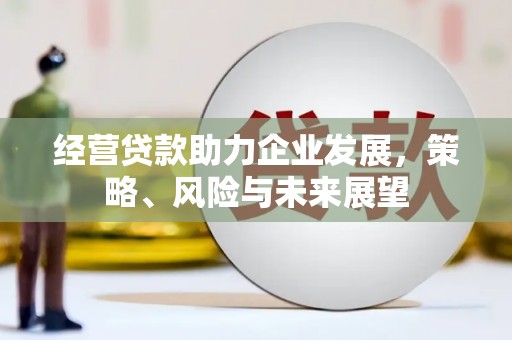 金城经营贷款助力企业发展，策略、风险与未来展望