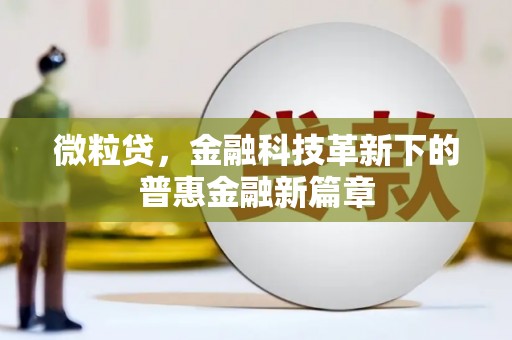 金城微粒贷，金融科技革新下的普惠金融新篇章