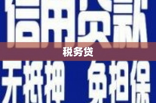金城税务贷