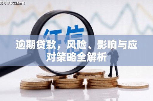 金城逾期贷款，风险、影响与应对策略全解析