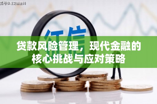 金城贷款风险管理，现代金融的核心挑战与应对策略