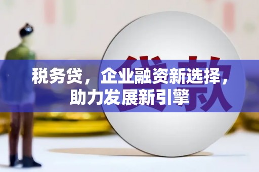金城税务贷，企业融资新选择，助力发展新引擎