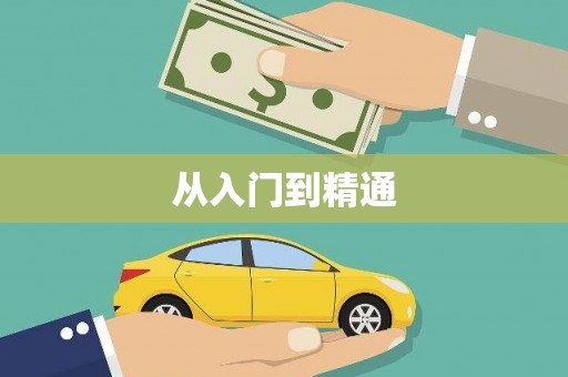 金城从入门到精通