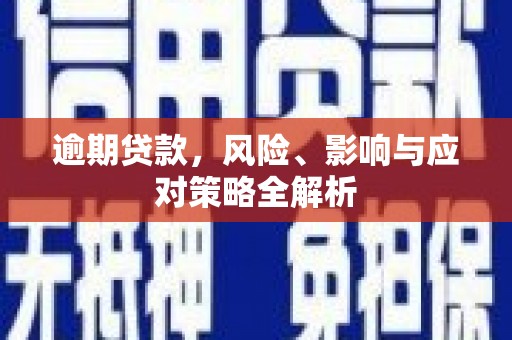 金城逾期贷款，风险、影响与应对策略全解析