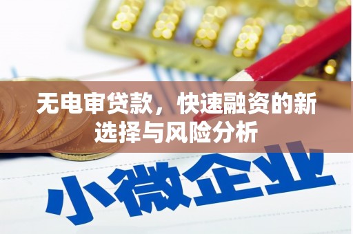 金城无电审贷款，快速融资的新选择与风险分析