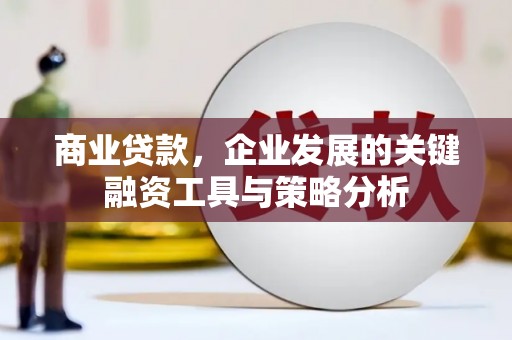 金城商业贷款，企业发展的关键融资工具与策略分析