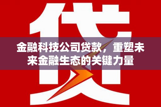 金城金融科技公司贷款，重塑未来金融生态的关键力量