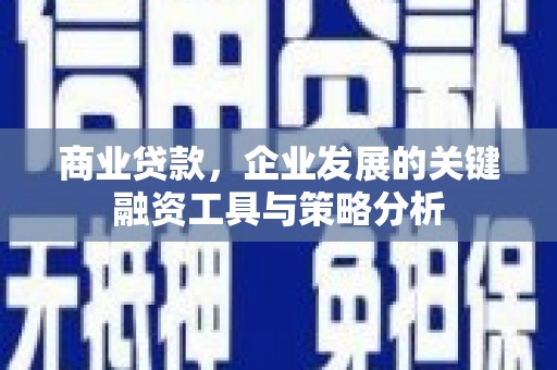 金城商业贷款，企业发展的关键融资工具与策略分析