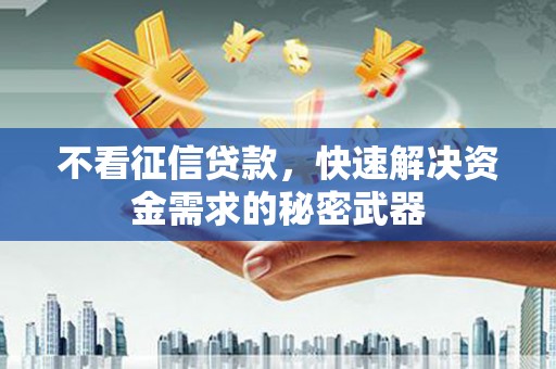 金城不看征信贷款，快速解决资金需求的秘密武器
