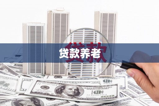 金城贷款养老