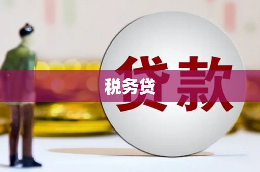金城税务贷