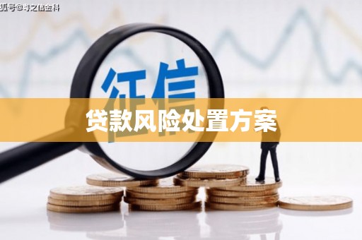 金城贷款风险处置方案