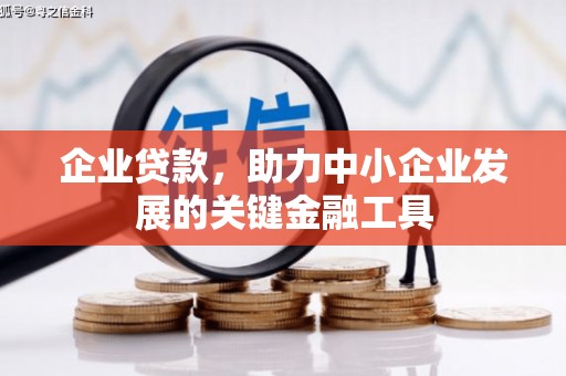 金城企业贷款，助力中小企业发展的关键金融工具