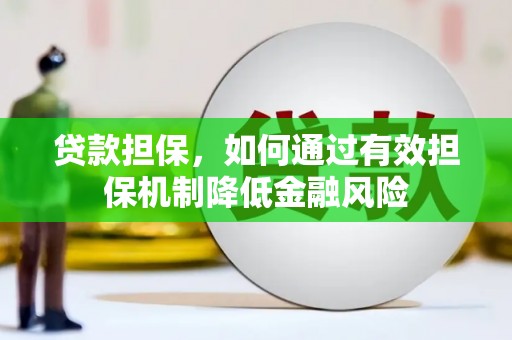 金城贷款担保，如何通过有效担保机制降低金融风险