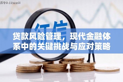 金城贷款风险管理，现代金融体系中的关键挑战与应对策略
