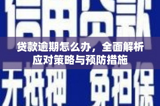 金城贷款逾期怎么办，全面解析应对策略与预防措施