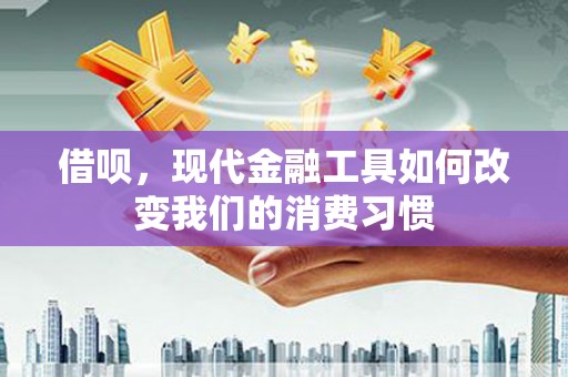 金城借呗，现代金融工具如何改变我们的消费习惯