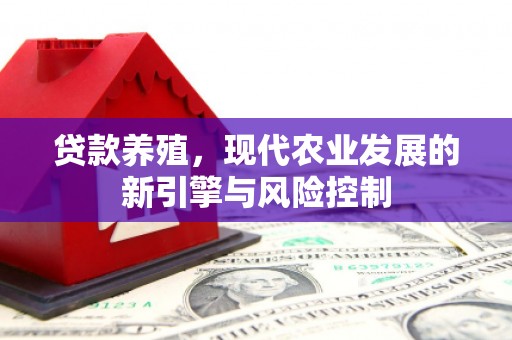 金城贷款养殖，现代农业发展的新引擎与风险控制