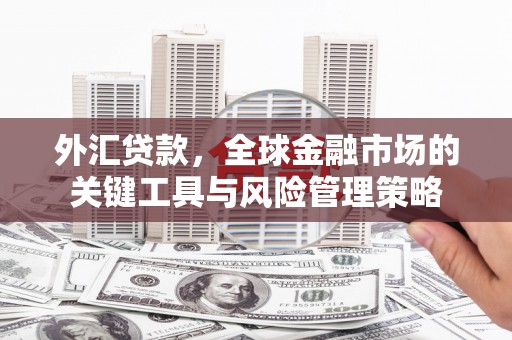 金城外汇贷款，全球金融市场的关键工具与风险管理策略