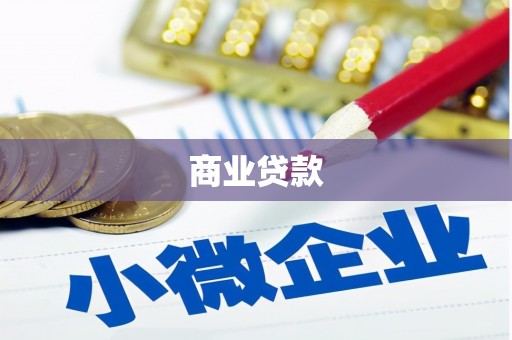 金城商业贷款